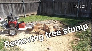 Removing huge tree stump (part 2), + how to use stump gringer.