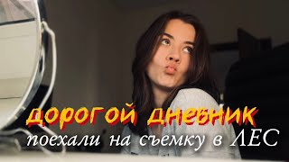 картинка: видеодневник: снимаю, играю, болтаю