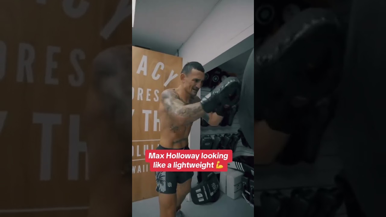 Lightweight Holloway loading ⏳ 