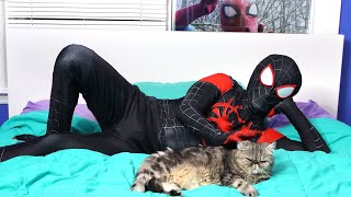 Spider-Man Mile Morales Daily Routine - IN REAL LIFE - RealTDragon