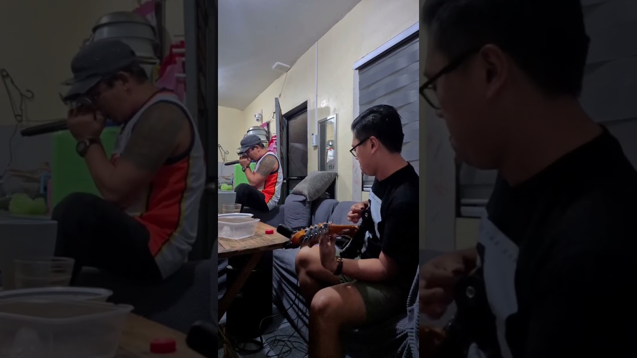 Stay Together For The Kids - Blink 182 cover