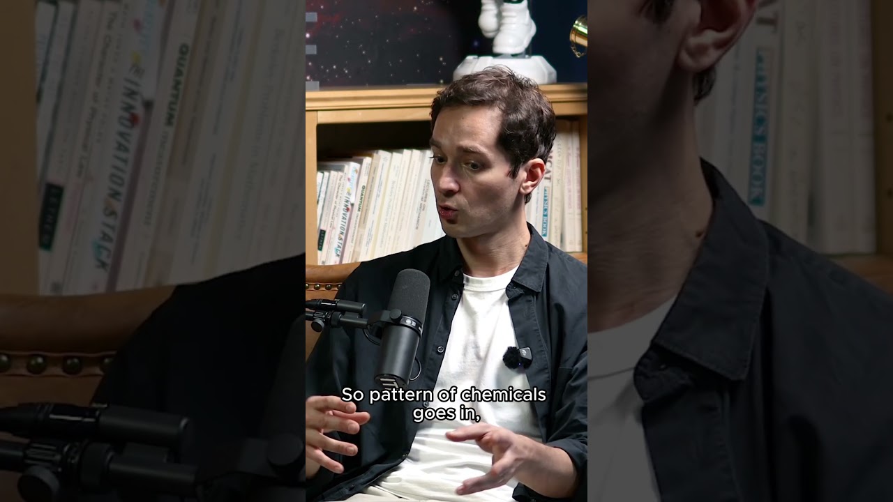 Могут ли клетки запоминать? | Николай Кукушкин