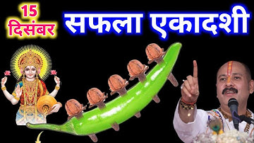 15 दिसंबर सफलता एकादशी को 5 लौंग और एक हरी मिर्च वाला उपाय जरूर करे| pandit mishra ji