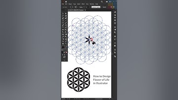 Hot to Design Flower of Life in Illustrator