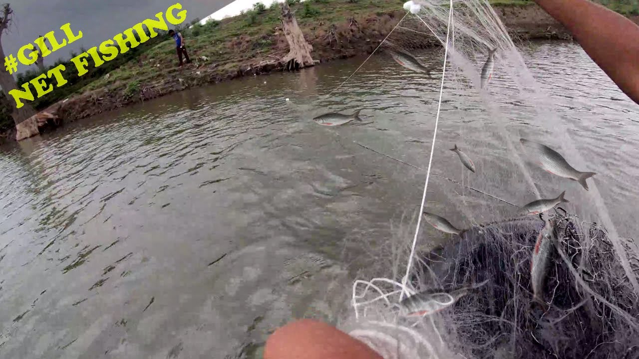 गिल नेट से मछली पकड़ने का बेहतर तरीका | fishing with tube GILL NET | fishing kaise karen | MrPKR
