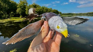 Will an Eagle Lure catch a River Monster!