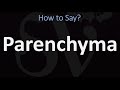 How to Pronounce Parenchyma? (CORRECTLY)