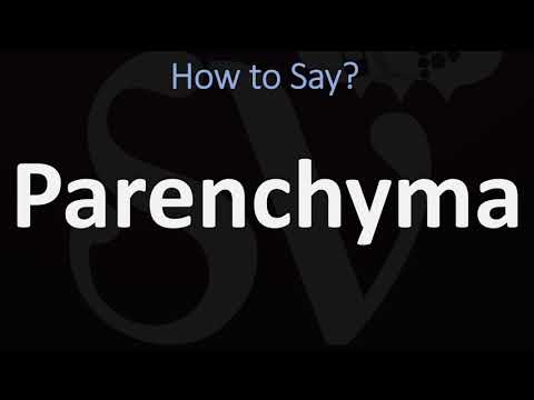 How to Pronounce Parenchyma? (CORRECTLY)
