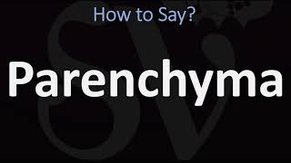 How to Pronounce Parenchyma? (CORRECTLY) screenshot 1