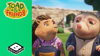 Picnic Toad And Friends Cartoons For Kids