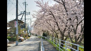 再会を願う昭和歌謡バラードBGM 第1弾