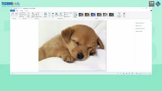 TKPHIllustrator Q4M5