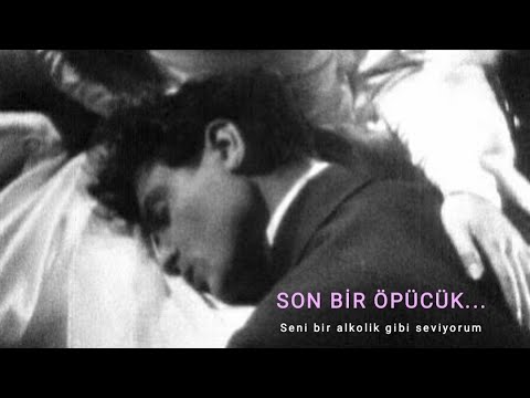 The Taxpayers - I Love You Like An Alcoholic (Türkçe Çeviri)