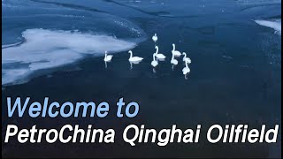 Welcome to PetroChina Qinghai Oilfield