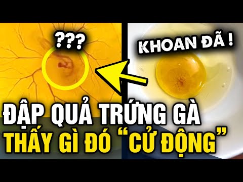 Đập quả TRỨNG GÀ ra chén, cô gái HẾT DÁM ĂN khi nhìn thấy HIỆN TƯỢNG LẠ | Tin 3 Phút