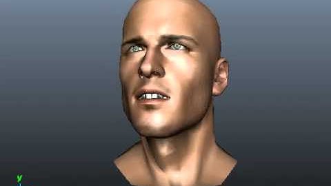 facial motion capture test