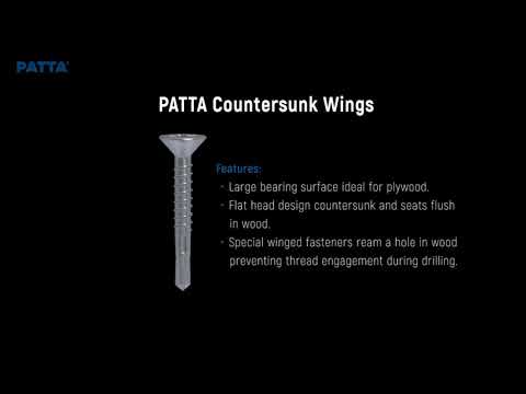 PATTA Algérie - 10 Phillips Countersunk Wings Screw