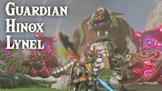 VS ライネル、ヒノックス、ガーディアン 同時戦闘法(VS  Linel, Hinox, and Guardian at the same time)【BotW】