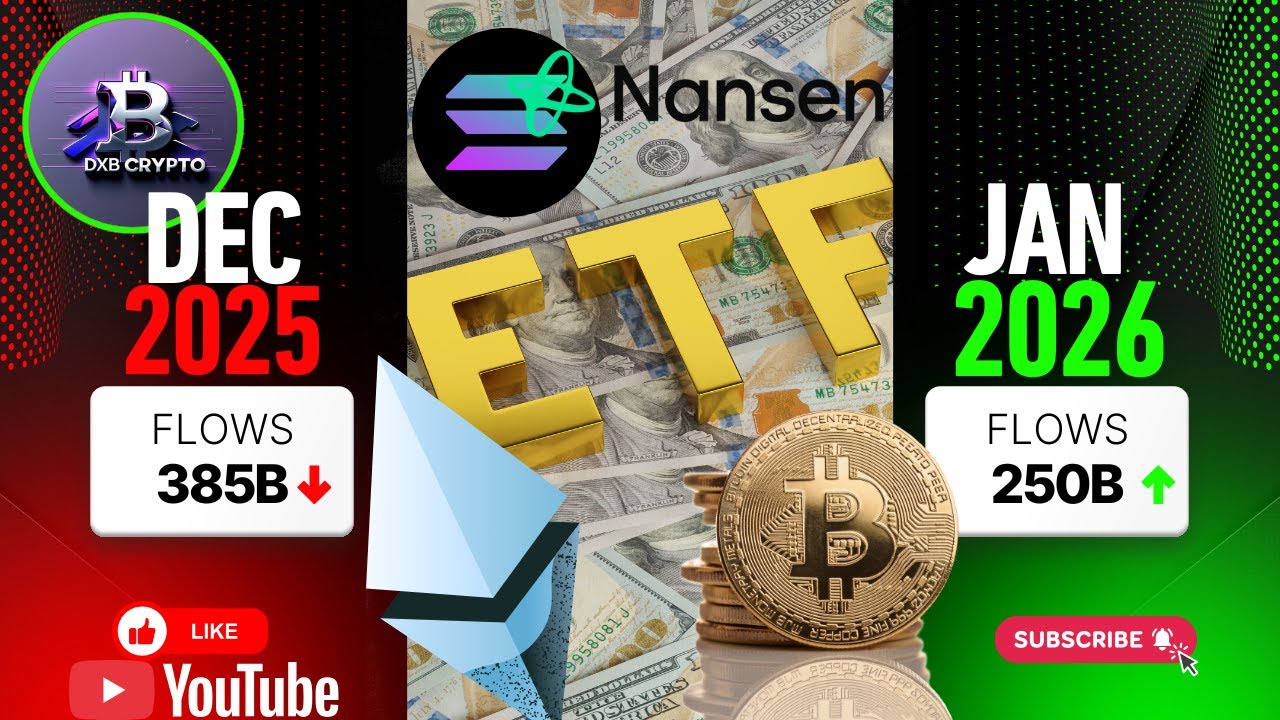 🔥INSTITUTIONS JUST FLIPPED: $355M Poured Into Bitcoin ETFs After Record  Outflows🔥 - YouTube