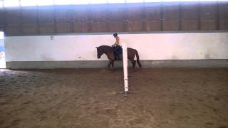 WP 20140806 024