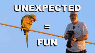 It's the Unexpected that makes Photography Fun