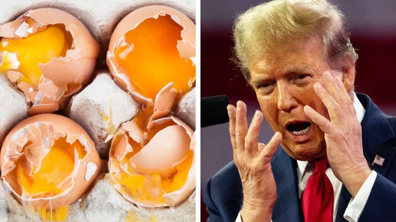 Egg prices under Trump COMPLETELY NUCLEAR, new record