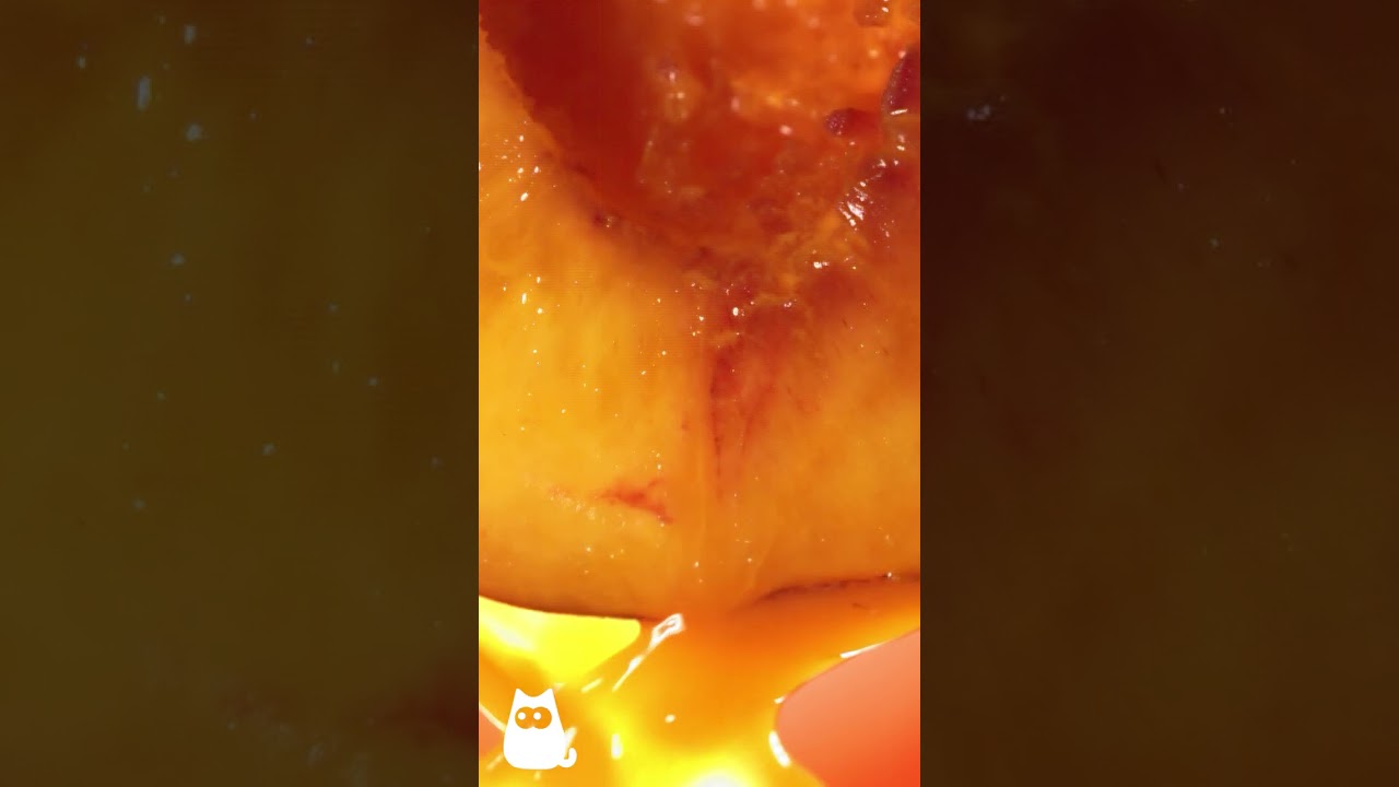 Do NOT Give These FRUITS and VEGETABLES to Your CAT! 🐱❌ 