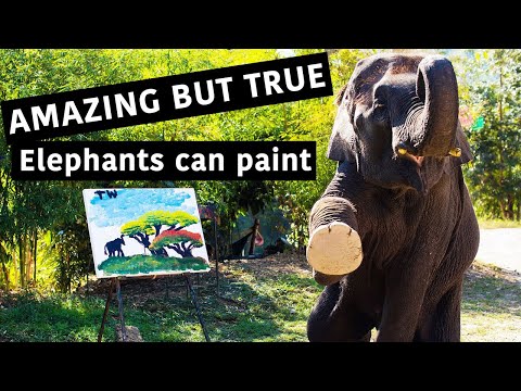 Paintings Made By Elephants in Thailand