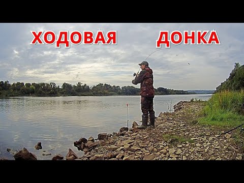 Лучшая Снасть На Живца. Ловит Всегда. Рыбалка На Оке В Сентябре.