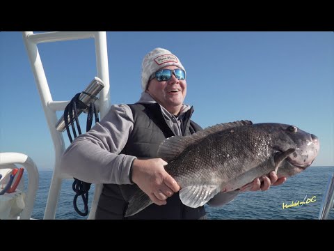 file fishing hook How-To Sharpen Fishing Hooks