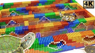 Race Turtle Speed  - How To Build Maze Underwater From Magnetic Balls (Satisfying)
