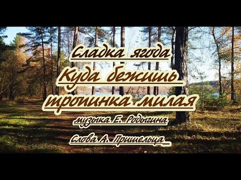 Сладка ягода -Куда бежишь тропинка милая- караоке(ремикс).