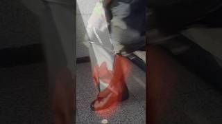 카드캡터루크🍒 #DIGNITY #디그니티 #LUKE #루크 #shorts