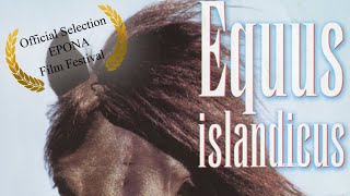 Equus islandicus: The Icelandic Horse