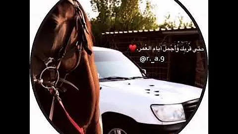 محد يخلي طيرا يلوح بدينه عالي 