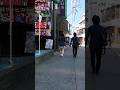 本日の池袋北口 #shorts #ikebukuro