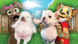 WE ADOPTED PIBBLE PUPPIES IN GMOD!!