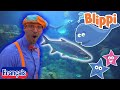 Blippi en franais  visite un aquarium ody aquarium odysea vidos ducatives pour les enfants