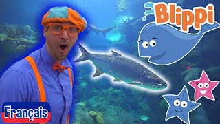 Blippi en français  Visite un aquarium (Ody Aquarium) Odysea| Vidéos éducatives pour les enfants