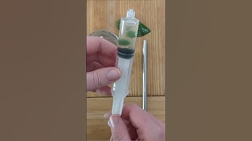 At Home #Photosynthesis Experiment! #scienceexperiment #science