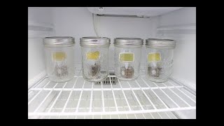 Solvita Test For Soil Health