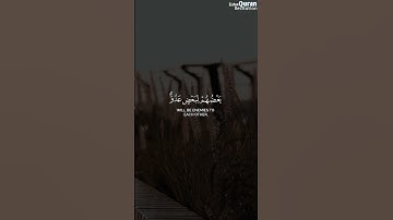 الشيخ ماهر المعيقلي | سورة الزخرف #القرآن