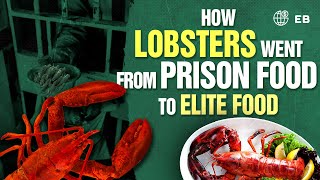 How Lobsters Went From Prison Food To Elite Food