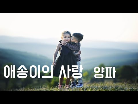 애송이의 사랑 - 양파(1997, 가사포함) | New
