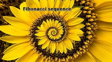 레오나르도 다피사의 피보나치 수열