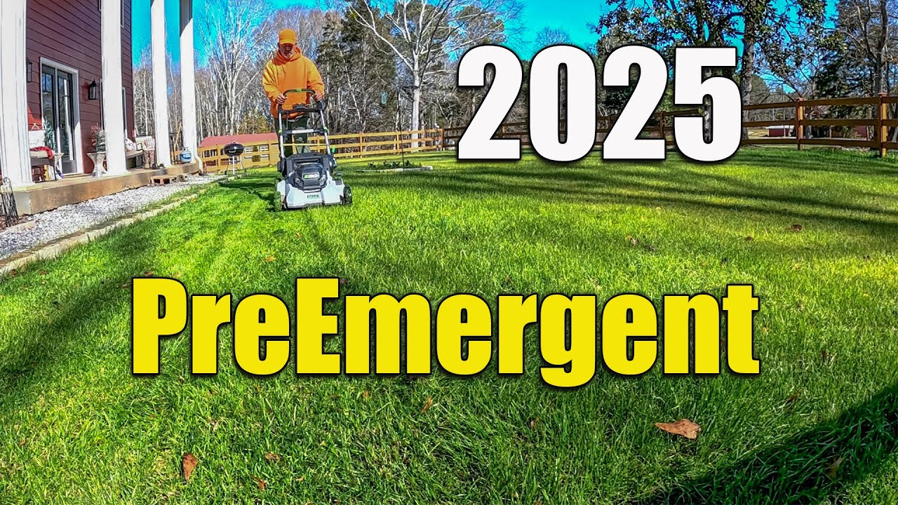 Lawn Preemergent Application When and What to Apply