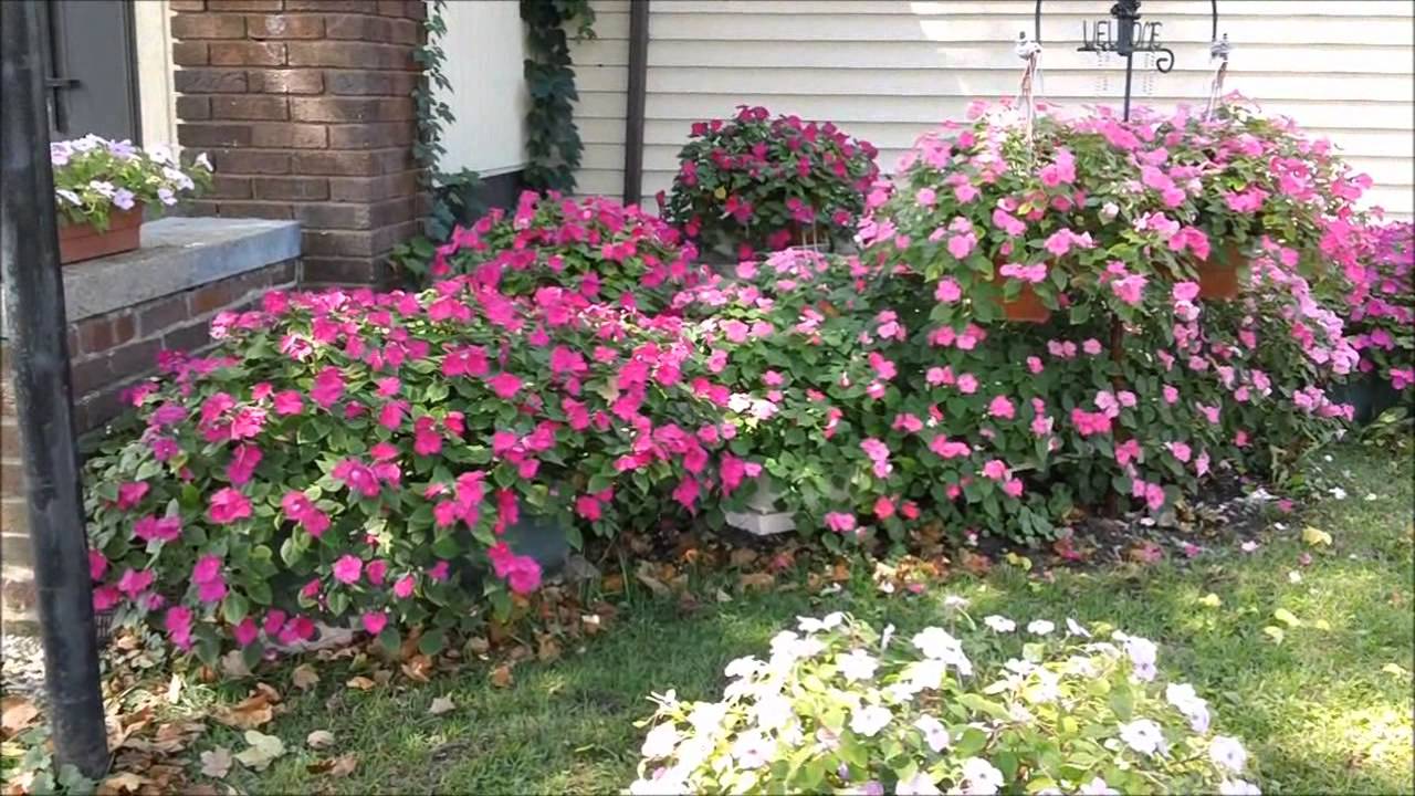 Flower Garden - YouTube
