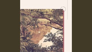 Modish Ambience for Chill Afternoons