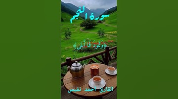 سورة النجم بصوت الشيخ أحمد نفيس #قرآن_كريم #تلاوة_هادئة #قرآن #اكسبلور