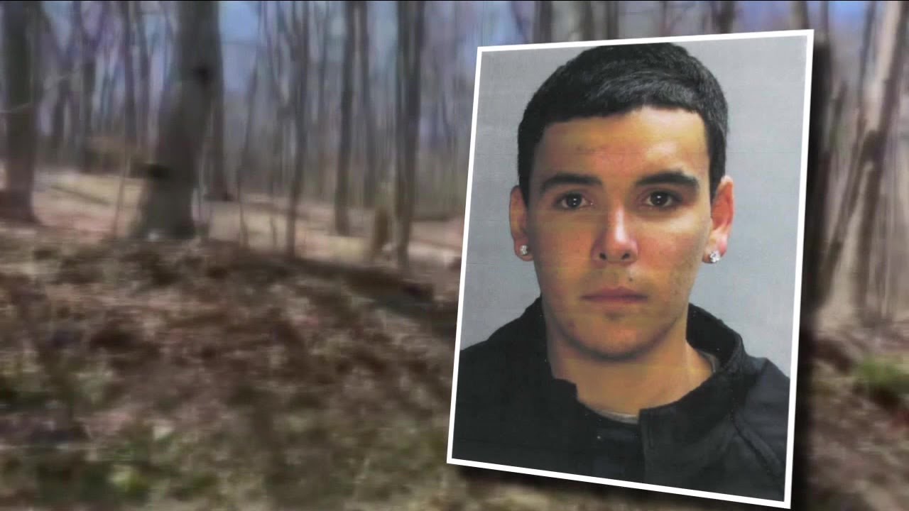 Remains found in Pennsylvania woods ID'd as man missing since 2015